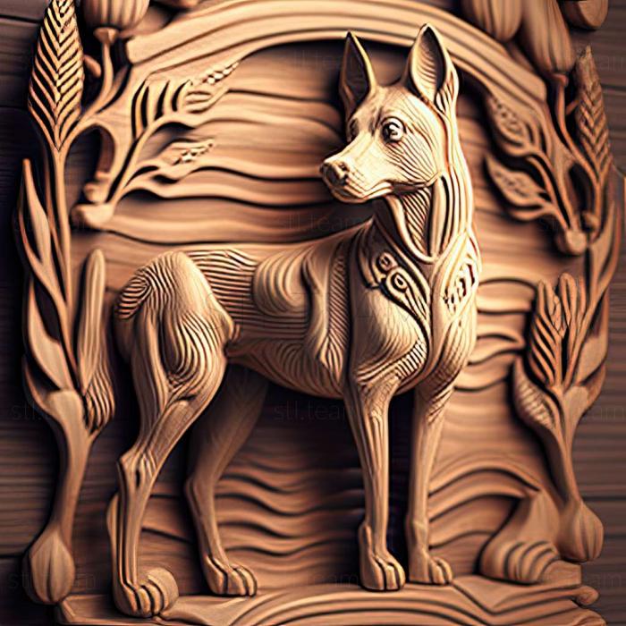Лапландська оленяча собака